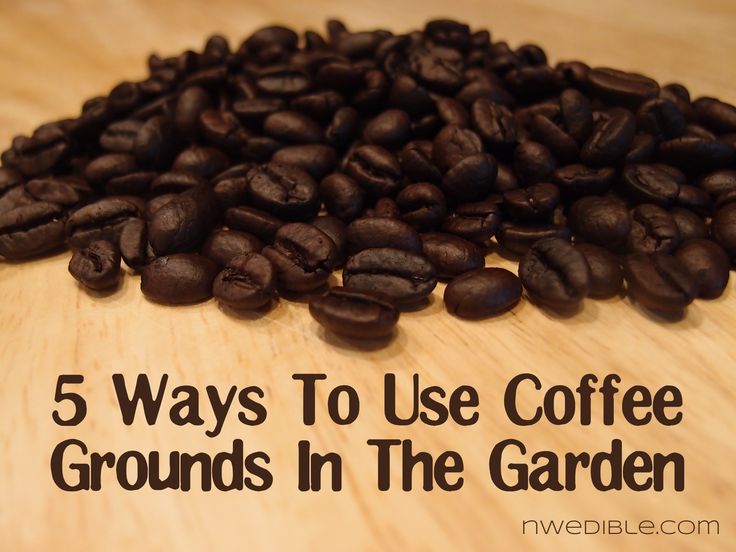 http://www.nwedible.com/2013/02/5-ways-to-use-coffee-grounds-in-the-garden.html